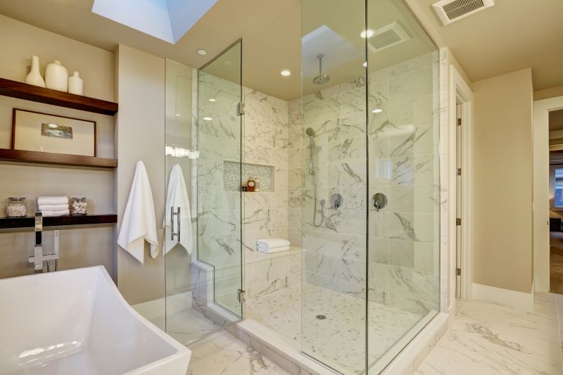 Elegant Shower Niche